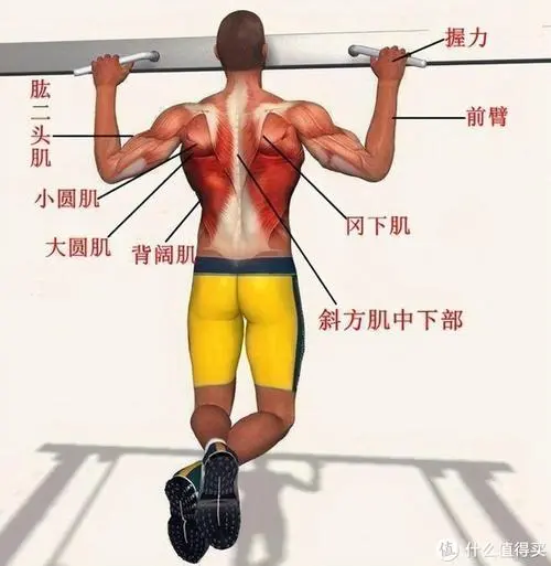 PP電子網(wǎng)站入口，家庭物聯(lián)網(wǎng)都是什么組成